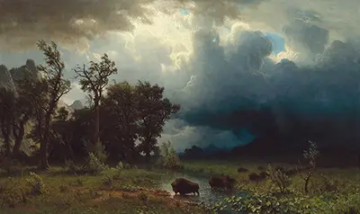 Buffalo Trail the Impending Storm Albert Bierstadt